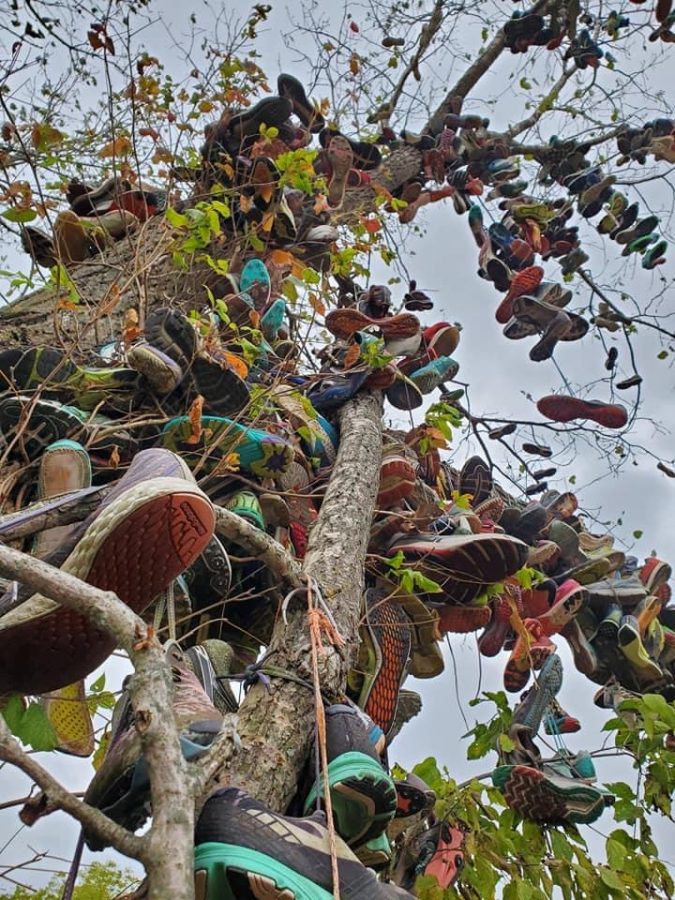 At the infamous LaVern Gibson cross country course hundreds of pairs of seniors' shoes hang.